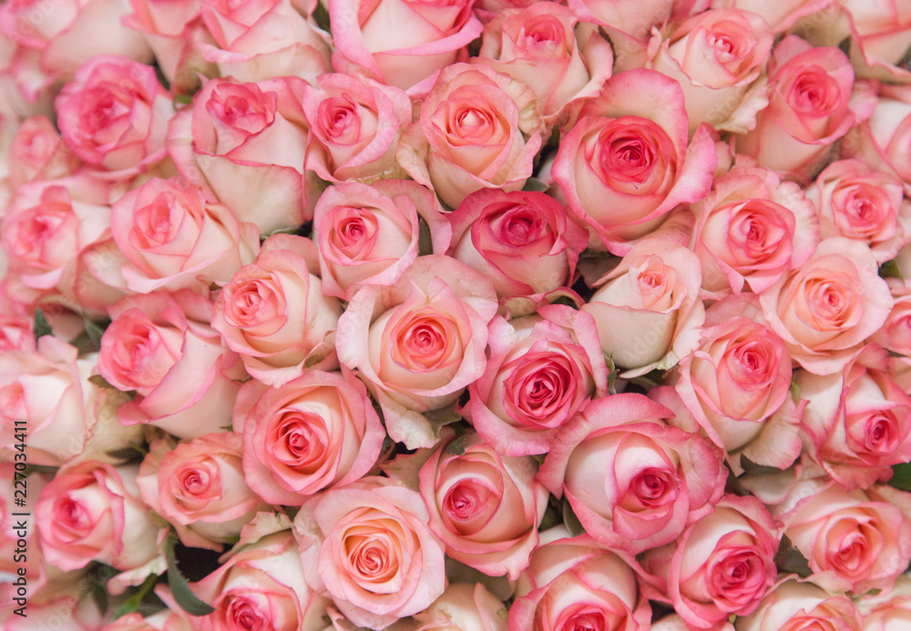 Premium Photo  Close up of a beautiful bouquet of pink roses with