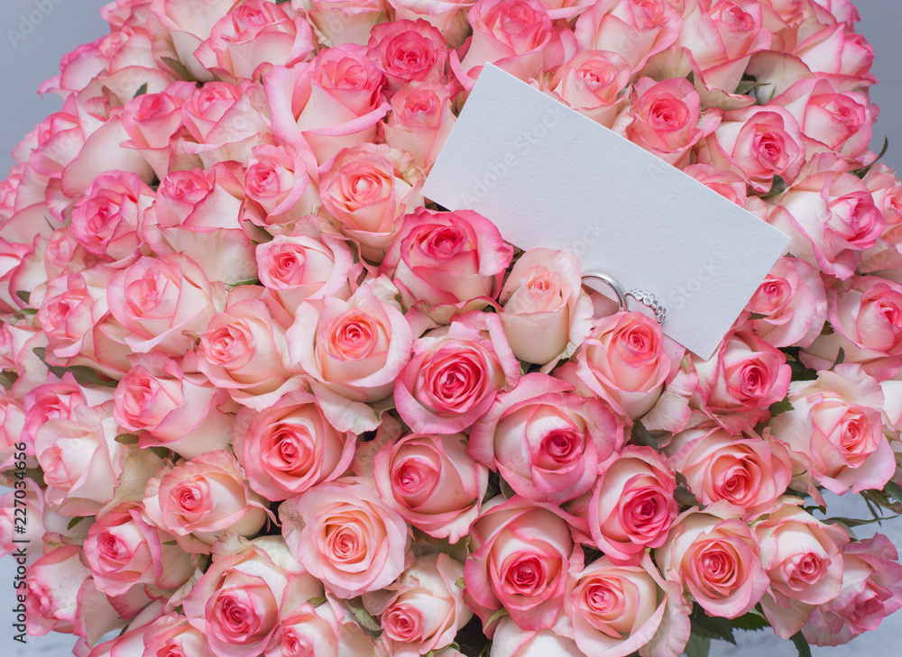 rose, pink, flower, bouquet, roses, flowers, love, nature, wedding,  isolated, white, bunch, gift, valentine, floral, beautiful, petal, beauty,  blossom, red, romance, anniversary, birthday, romantic, g Stock Photo |  Adobe Stock