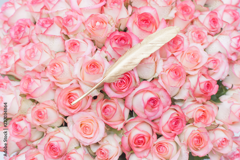 rose, pink, flower, bouquet, roses, flowers, love, nature, floral, bunch,  petal, wedding, beautiful, beauty, isolated, valentine, blossom, romance,  white, red, gift, bloom, romantic, plant, flora Stock Photo | Adobe Stock
