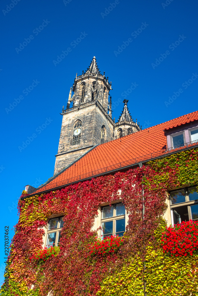 Obraz premium Magnificent colorful Cathedral of Magdeburg in Autumn, Germany,