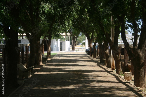 alley in the park