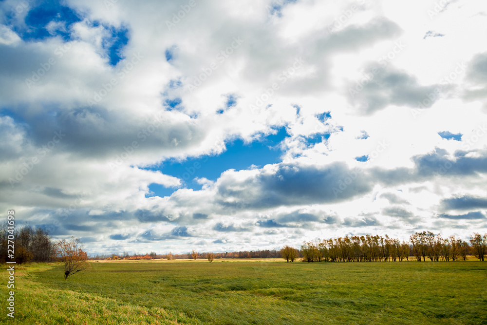 Cloudy over an uncut field in September Cloudy over an uncut field in September