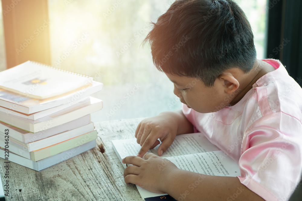 Asians boy read book at home. education concept. Asians boy read book at home. education concept.
