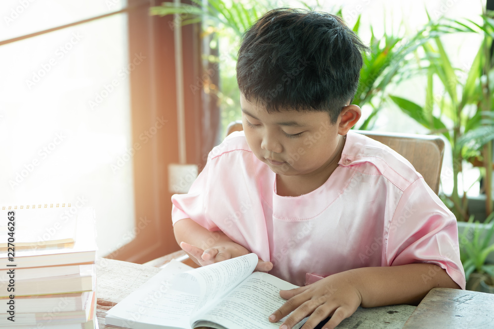 Asians boy read book at home. education concept. Asians boy read book at home. education concept.