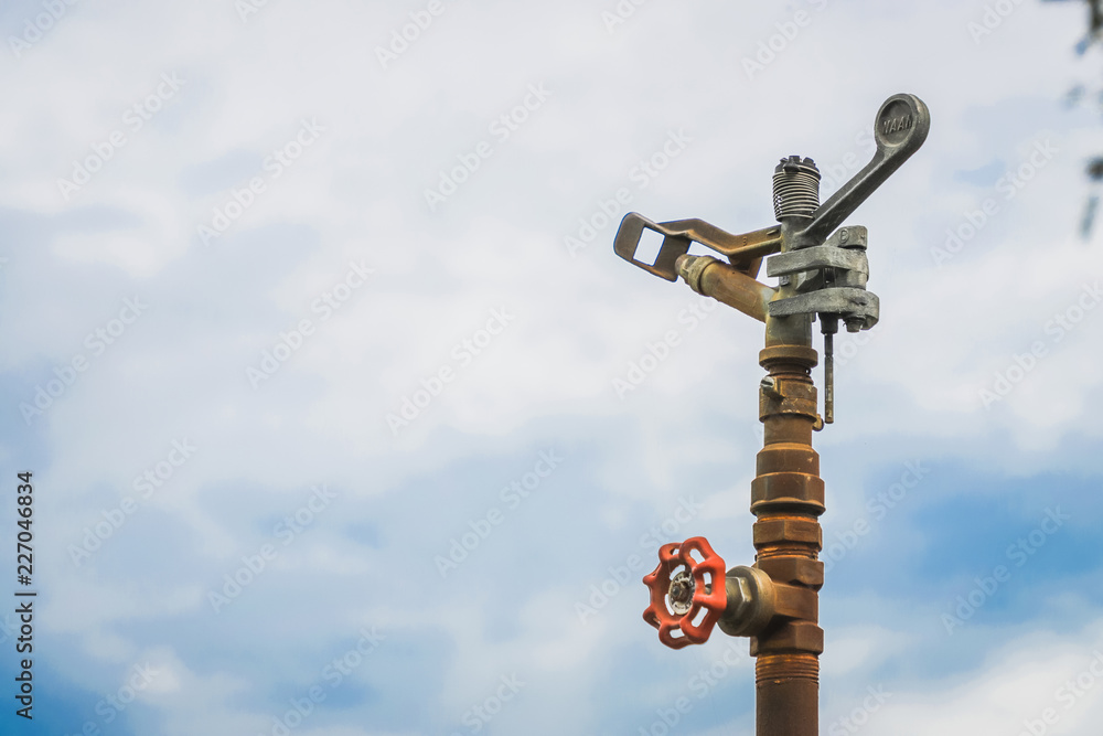 Springer watering on cloudy blue sky background Springer watering on cloudy blue sky background