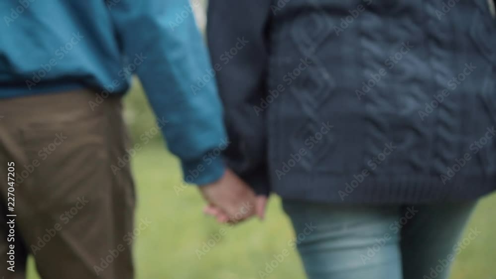 Couple in love holding hands walking along the summer park. Couple in love holding hands walking along the summer park.