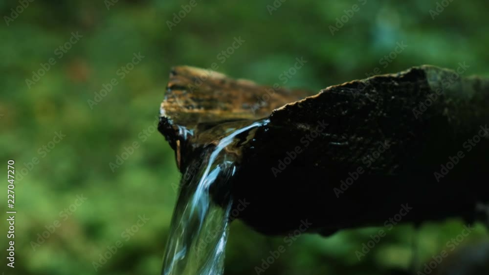 Water pours through a tree in the forest, the source of water is a mountain stream flowing in the mountains at a campsite. Water pours through a tree in the forest, the source of water is a mountain stream flowing in the mountains at a campsite.