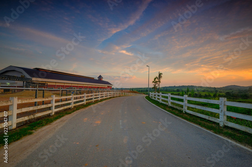 Agricultural landscape in First Dairy Farm during sunrise. © azami
