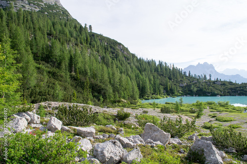 Detail shot of the wonderfull Sorapiss lake in the italian Alps, in the Dolomites mountains range close to Cortina in Veneto region, a unique place. The water of the lake is so blue it seems unreal photo