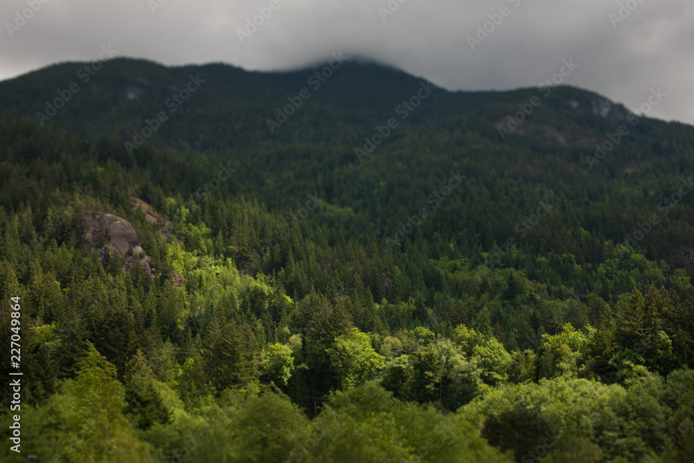 wood mountain trees forest wood mountain trees forest