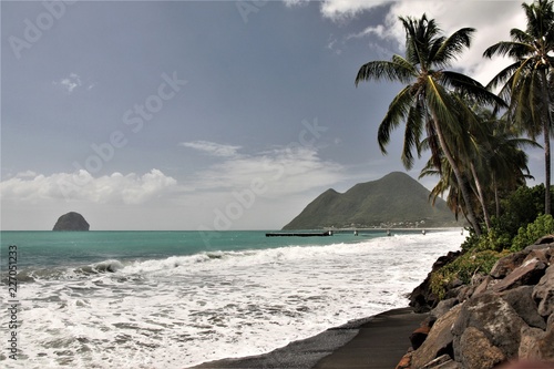 Martinique, Palmiers sur la plage du diamant © odjectif