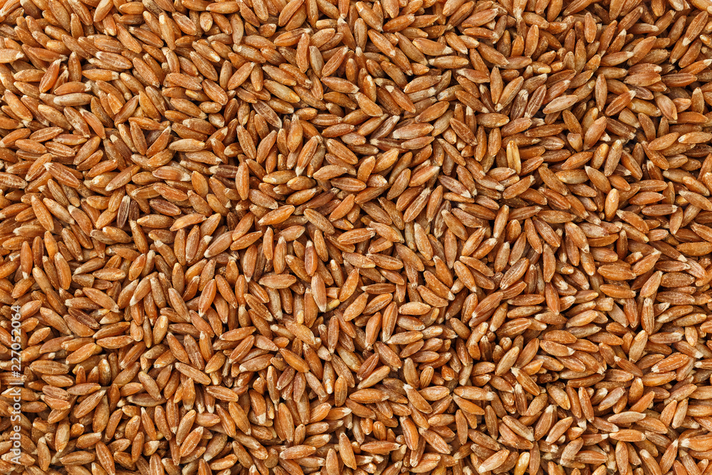 Jasmine brown rice closeup. Organic grain texture Jasmine brown rice closeup. Organic grain texture