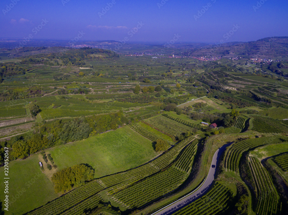 Weinberge Reben mit Drohne 