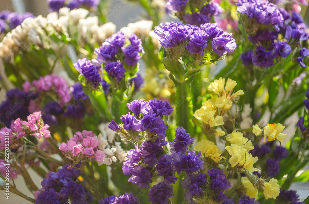 Yellow Pink Purple and white summer flowers in the bouquet closeup