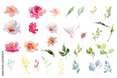 Collection of watercolor red and pink and green flowers for weddig cards, invitation, ornament