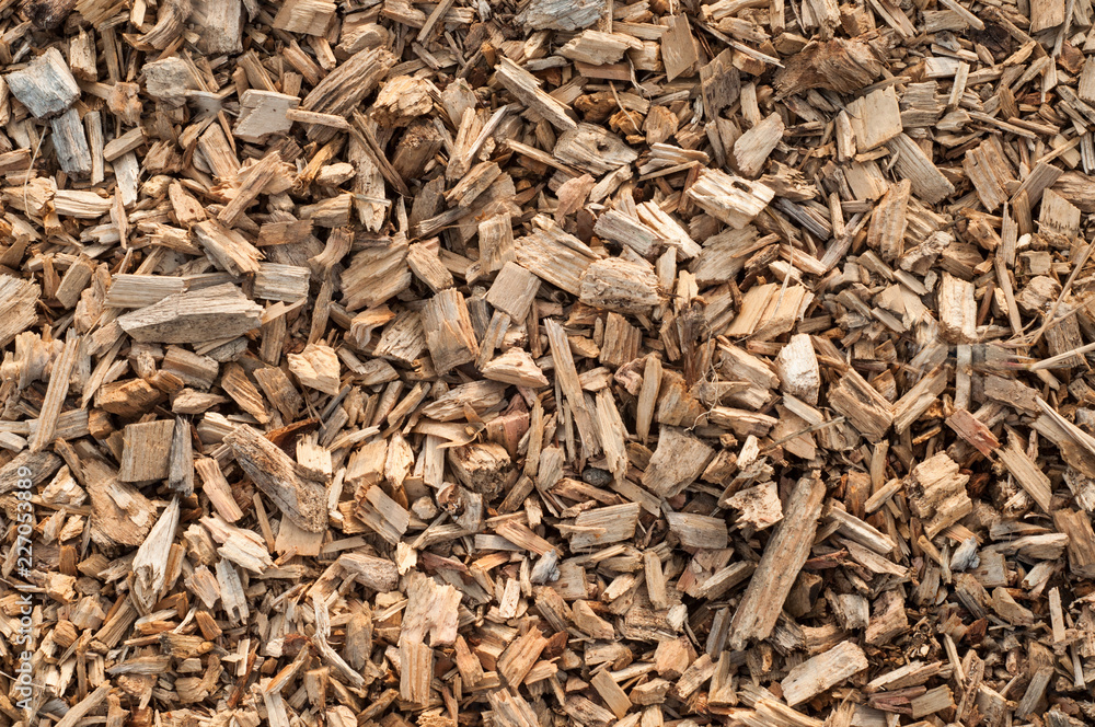 Wood Shavings Texture Background Wood Shavings Texture Background