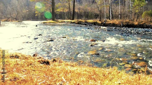 Wallpaper Mural Motorised dolly slider shot of the splashing water in a small mountain river near forest. Huge wet rocks and sun rays. Horizontal steady movement at rural scene. Torontodigital.ca
