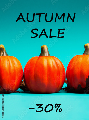 Autumn sale background. Text autumn sale -30%.