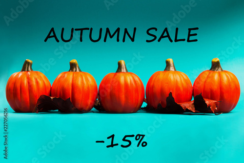 Autumn sale background. Text autumn sale -15%.