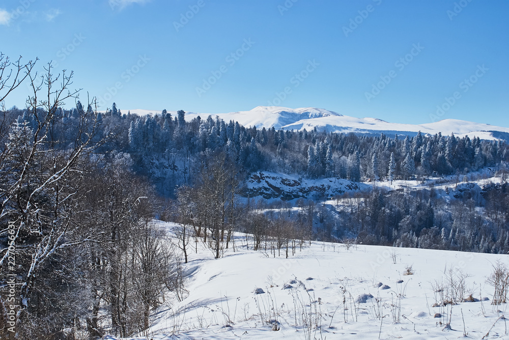 Panoramic view of the mountains. In the foreground there is a snow-covered glade, on the middle a forest, on the far a cliff, on the background. The Main Caucasian Ridge, Russia Panoramic view of the mountains. In the foreground there is a snow-covered glade, on the middle a forest, on the far a cliff, on the background. The Main Caucasian Ridge, Russia
