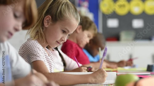 Portrait of smiling girl doing classwork and looking at camera