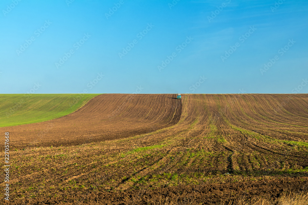 Winter wheat field in the fall with a tractor Winter wheat field in the fall with a tractor
