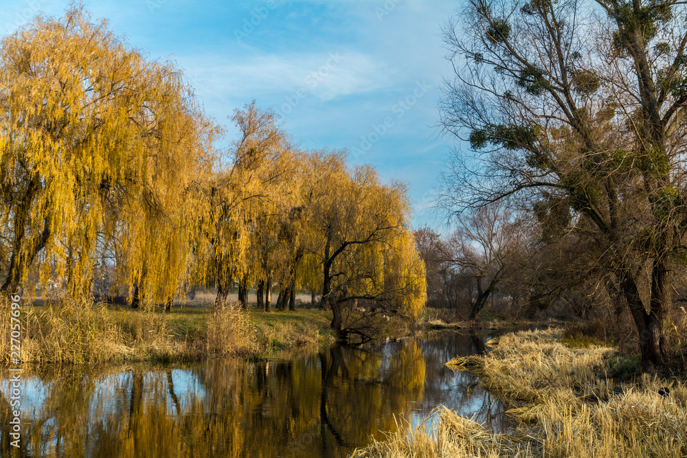 Obraz premium Beautiful river in the city park on a sunny fall day