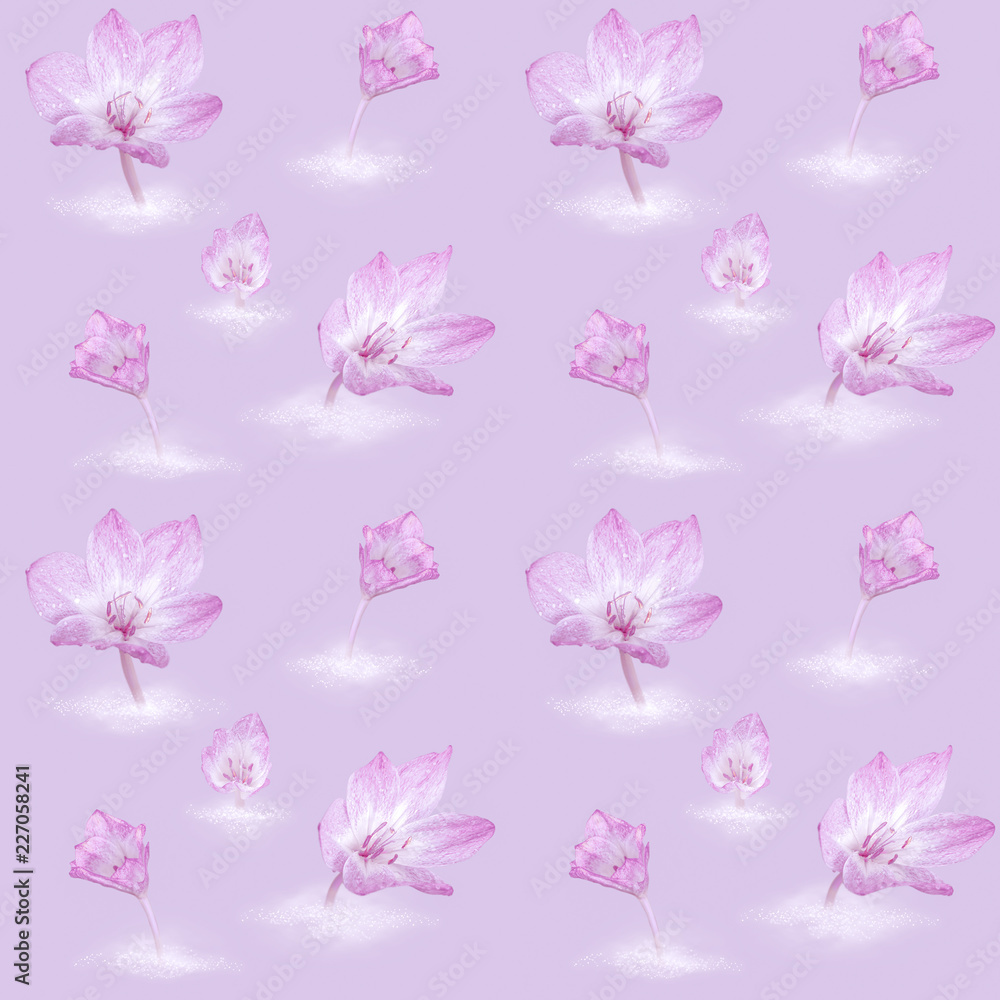 Seamless pattern with crocuses