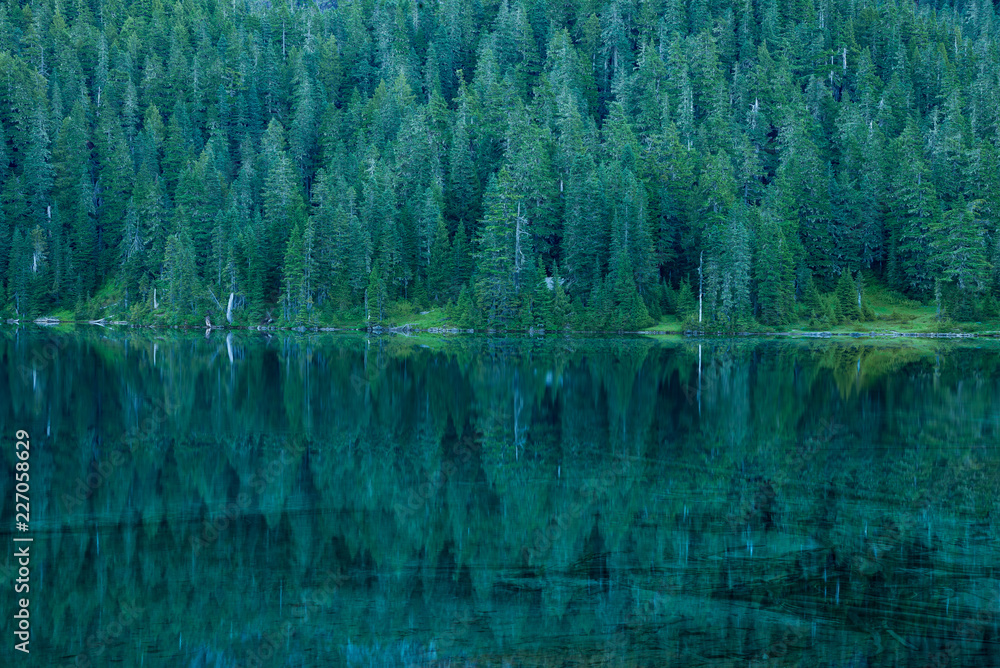 Fototapeta Perfekte Spiegelung von Nadelbäumen in einem glasklaren See