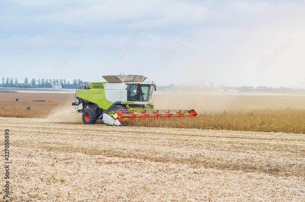 Obraz premium Agricultural combine harvests soybeans in the field