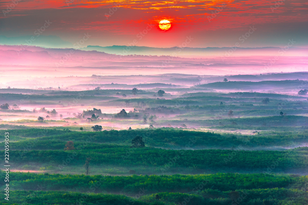 Fototapeta premium View of the countryside at Bueng kan province,Thailand.