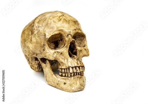 Human skull isolated on white background. © Panupong