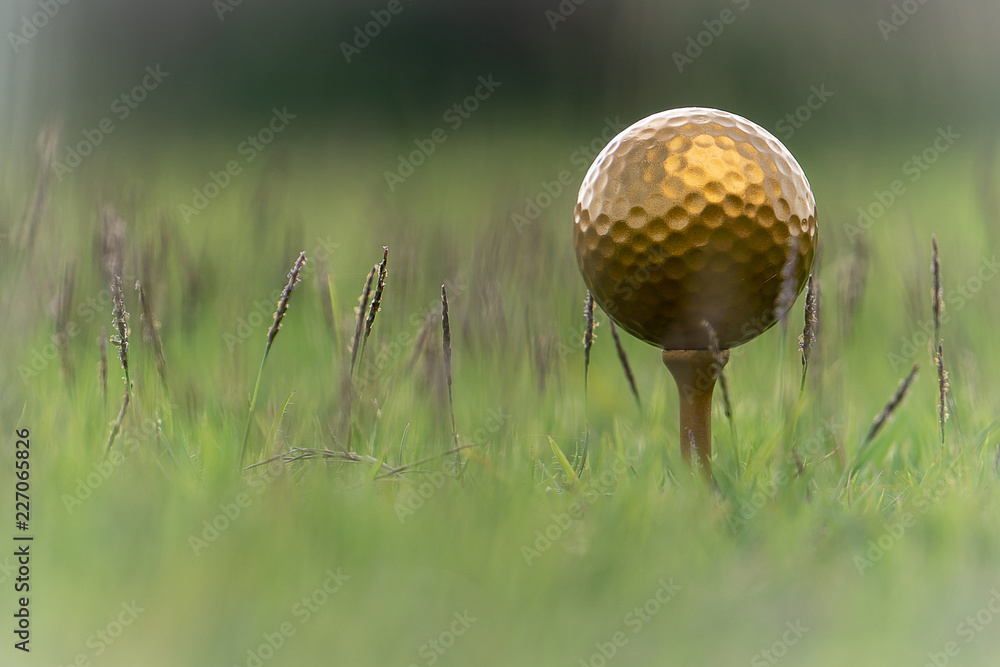 Obraz premium Gold golf ball and pins on the lush tropical greenery