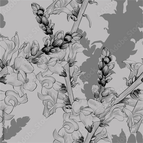 Vector illustration. A branch with flowers and buds. Seamless pattern.Antirrhinum. Medicinal, perfume and cosmetic plants. Wallpaper. Garden flowers. 