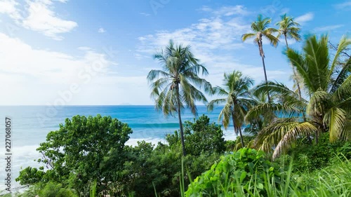 Time lapse of a tropical beach in Puerto Rico with jungle and Coconut trees in front of the ocean and waves