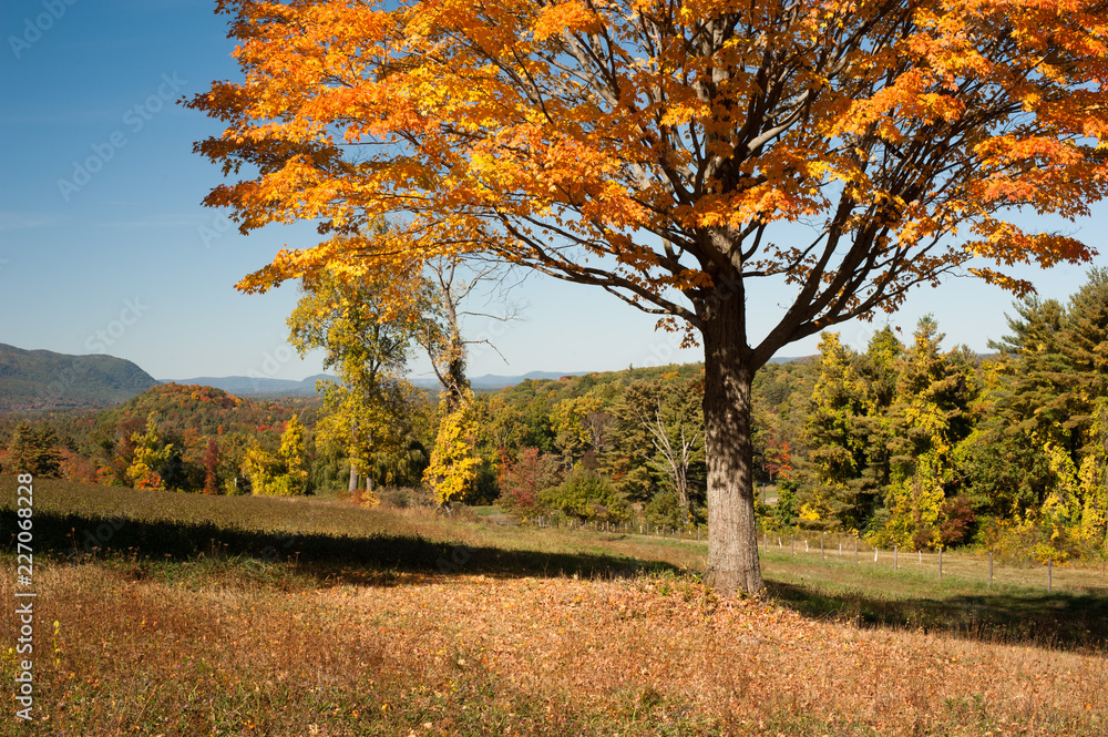 Fall color in Berkshire Hills, Western Mass