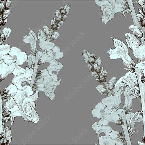 Vector illustration. A branch with flowers and buds. Seamless pattern.Antirrhinum. Medicinal, perfume and cosmetic plants. Wallpaper. Garden flowers. 