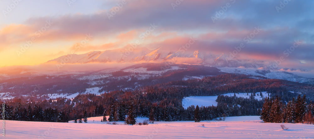 Winter panorama. Winter morning.