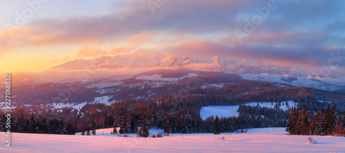 Winter panorama. Winter morning.