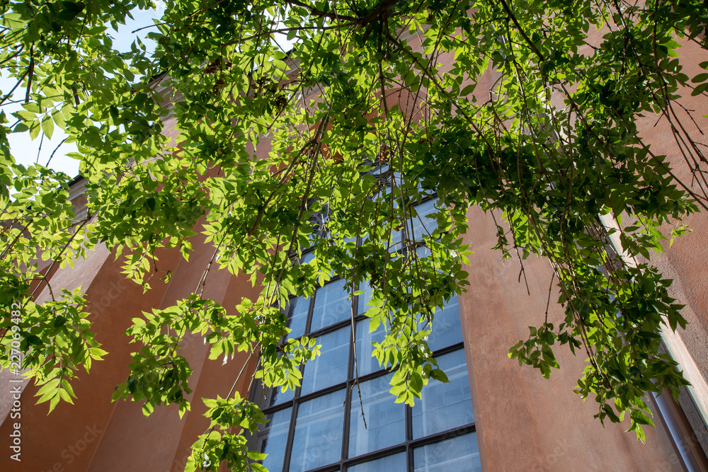 北欧 スウェーデン ストックホルム ガムラスタン 旧市街 夏 Northern Europe Sweden Stockholm Gamla Stan old city summer 北欧 スウェーデン ストックホルム ガムラスタン 旧市街 夏 Northern Europe Sweden Stockholm Gamla Stan old city summer