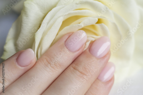 white rose in a woman's hand with a beautiful manicure