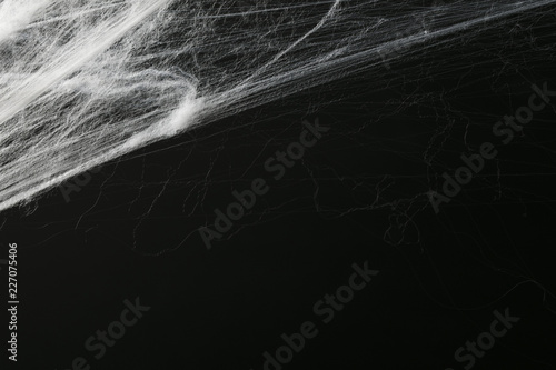 Halloween creepy cobweb spiders web with a black background