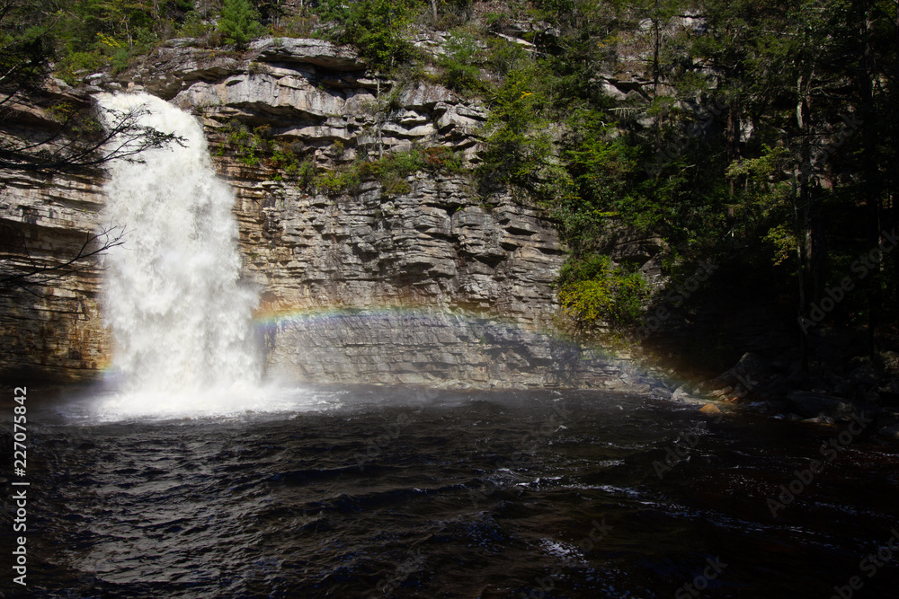 Obraz premium NYS Parks