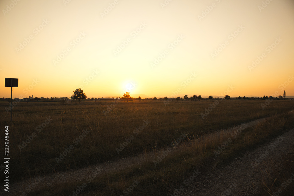 Naklejka premium sunset on a big field with trees in the dark
