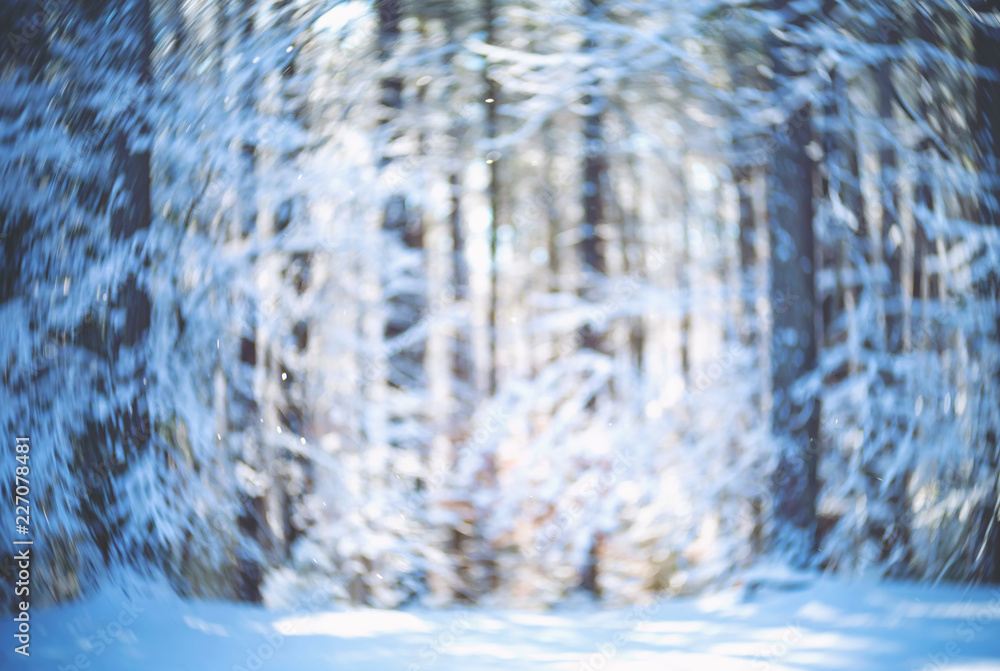 Blurred defocused snowy abstract winter forest background