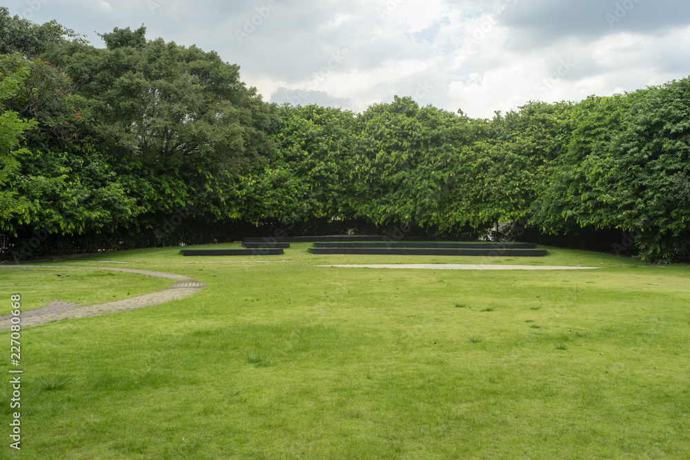 Obraz premium green grass field in big city park