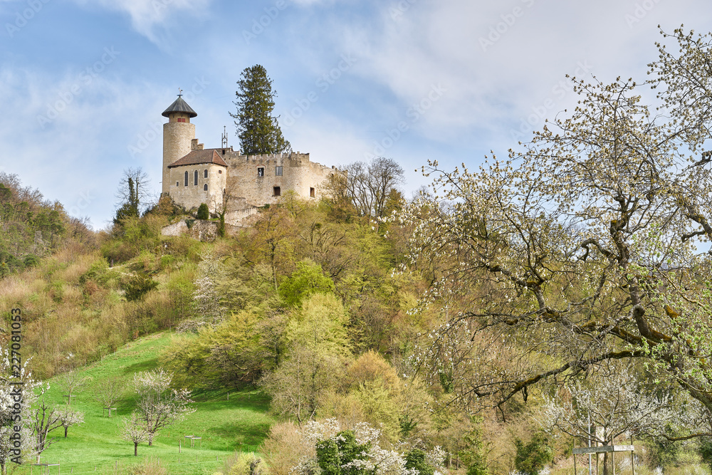 Arlesheim mit Schloss Birseck