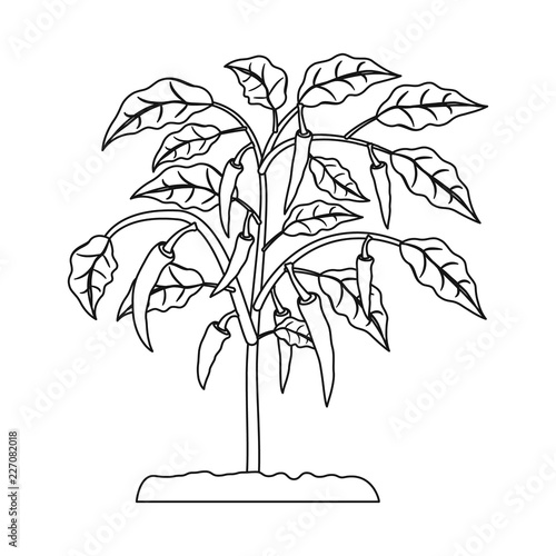 Isolated object of greenhouse and plant symbol. Set of greenhouse and garden stock symbol for web.