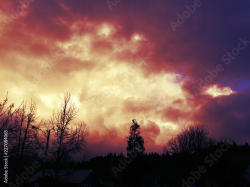 red sunset in forest