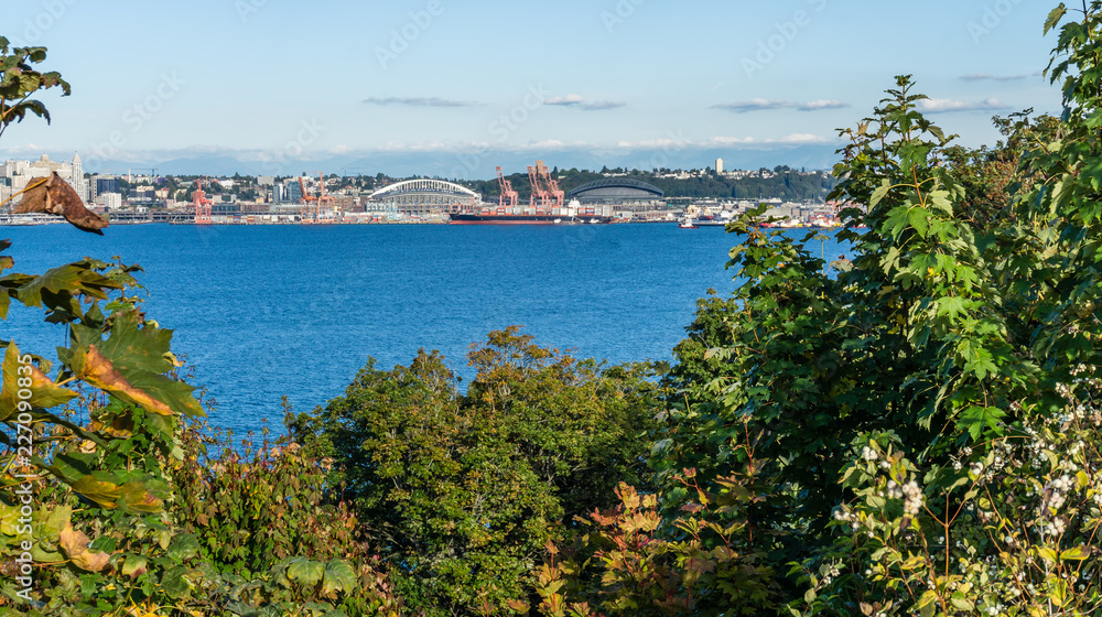 Seattle Port Landscape